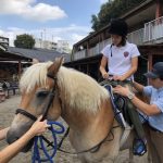 ウェルネス乗馬 at 東京乗馬クラブ