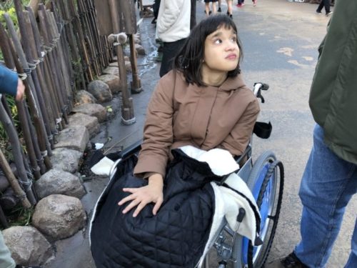 障害者のためのディズニーランドの ディスアビリティアクセスサービス 海外子育てブログ