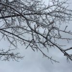あり得ない北国の天気ー今日は一日中雨と雹