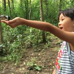 パワースポット、Old Quarry Trail
